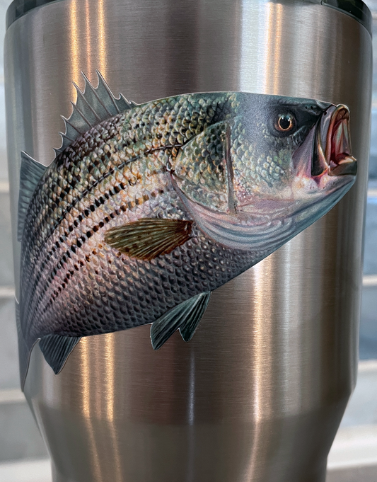 Oval Striper Hunter Sticker Decal - Self Adhesive Vinyl - Weatherproof -  Made in USA - fish fishing striped bass linesider rockfish 