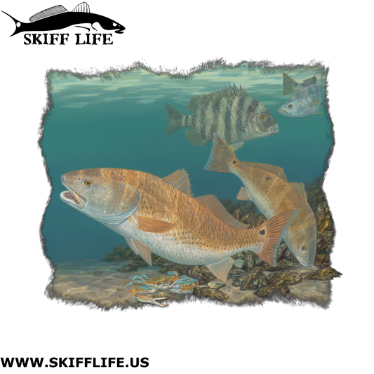 Striper Fish Stickers Authentic Striped Bass Decal by Randy McGovern Art
