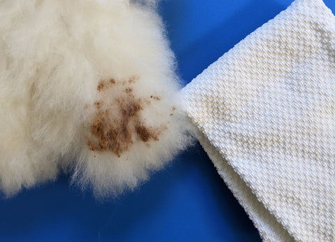 clean alpaca fur