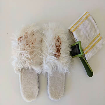 clean alpaca slippers