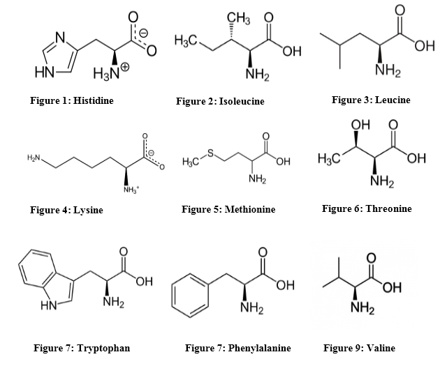 taurine amino acid essential or nonessential