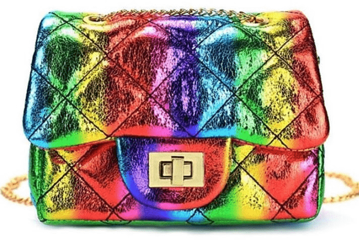 rainbow purse