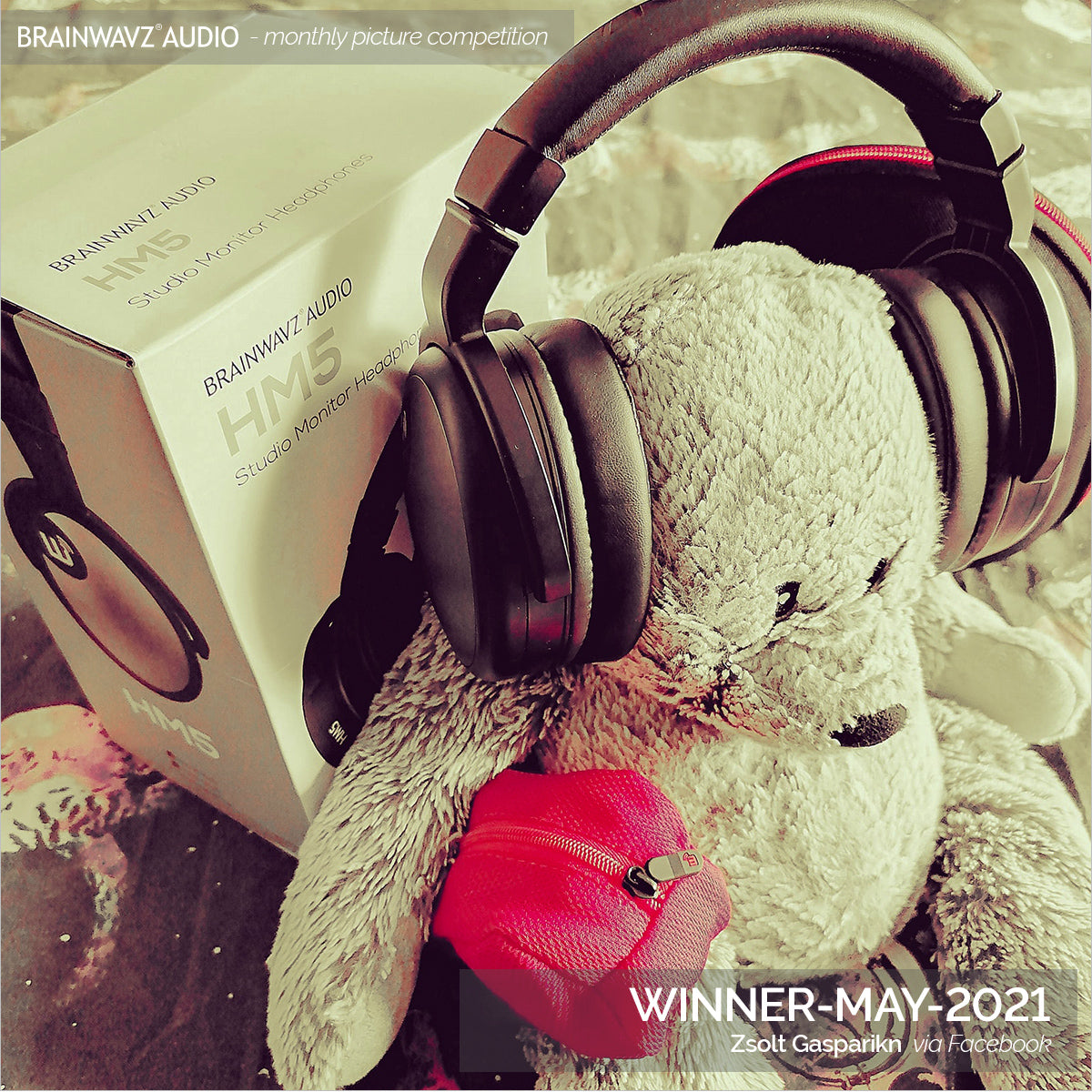 Winning image - Teddy wearing Brainwavz HM5 headphoners