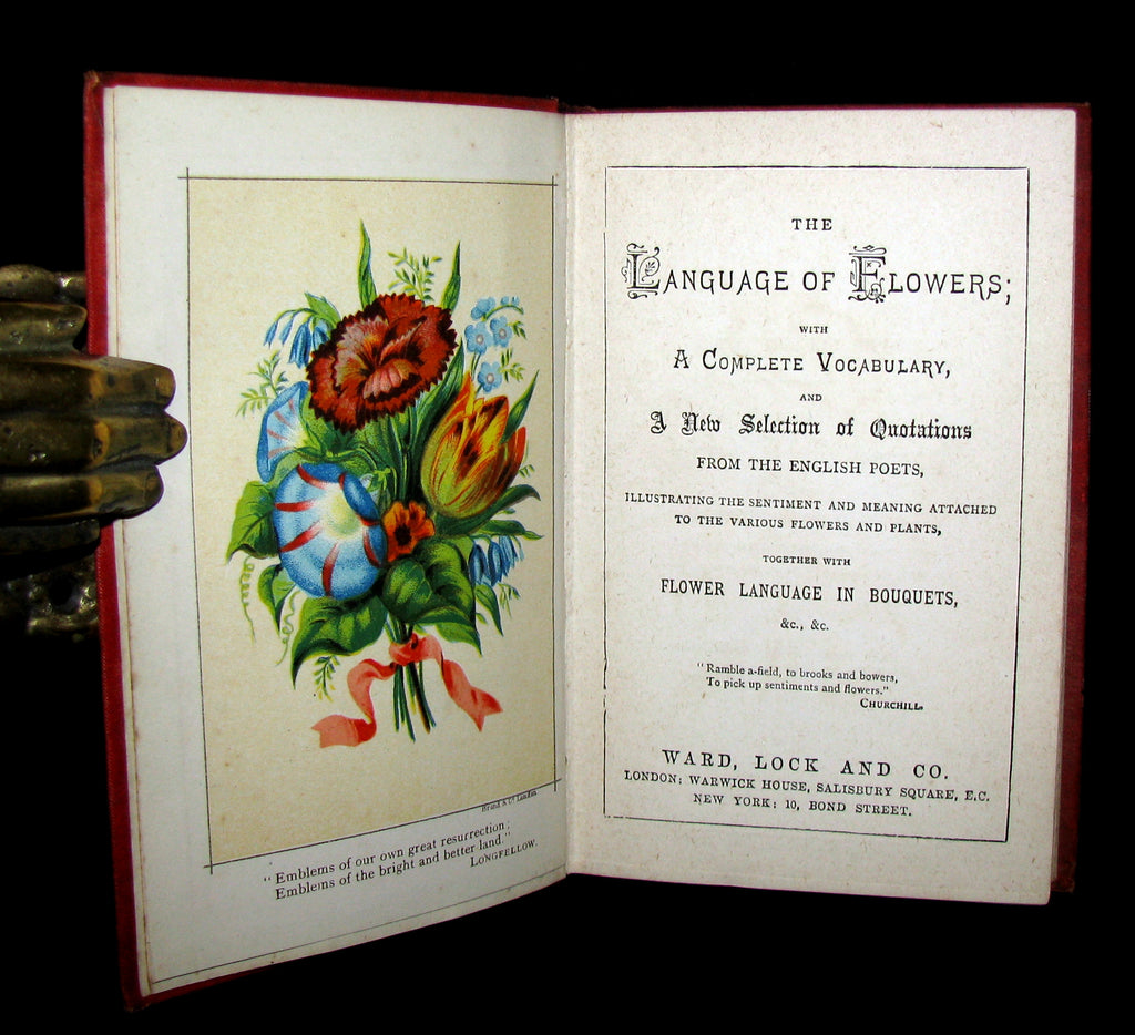 1880 Rare Floriography Book The Language Of Flowers By Robert Tyas Color Illustrated Mflibra Antique Books