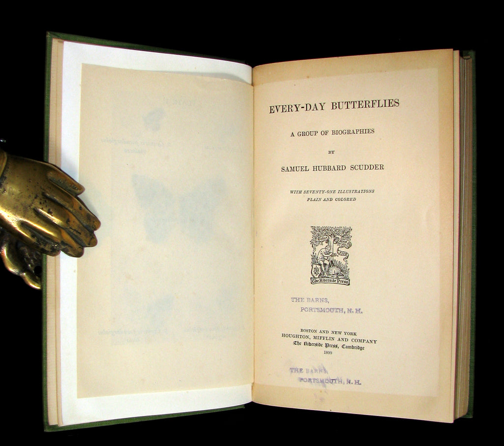 1899 Rare First Edition Book Every Day Butterflies A Group Of Biogra Mflibra Antique Books 