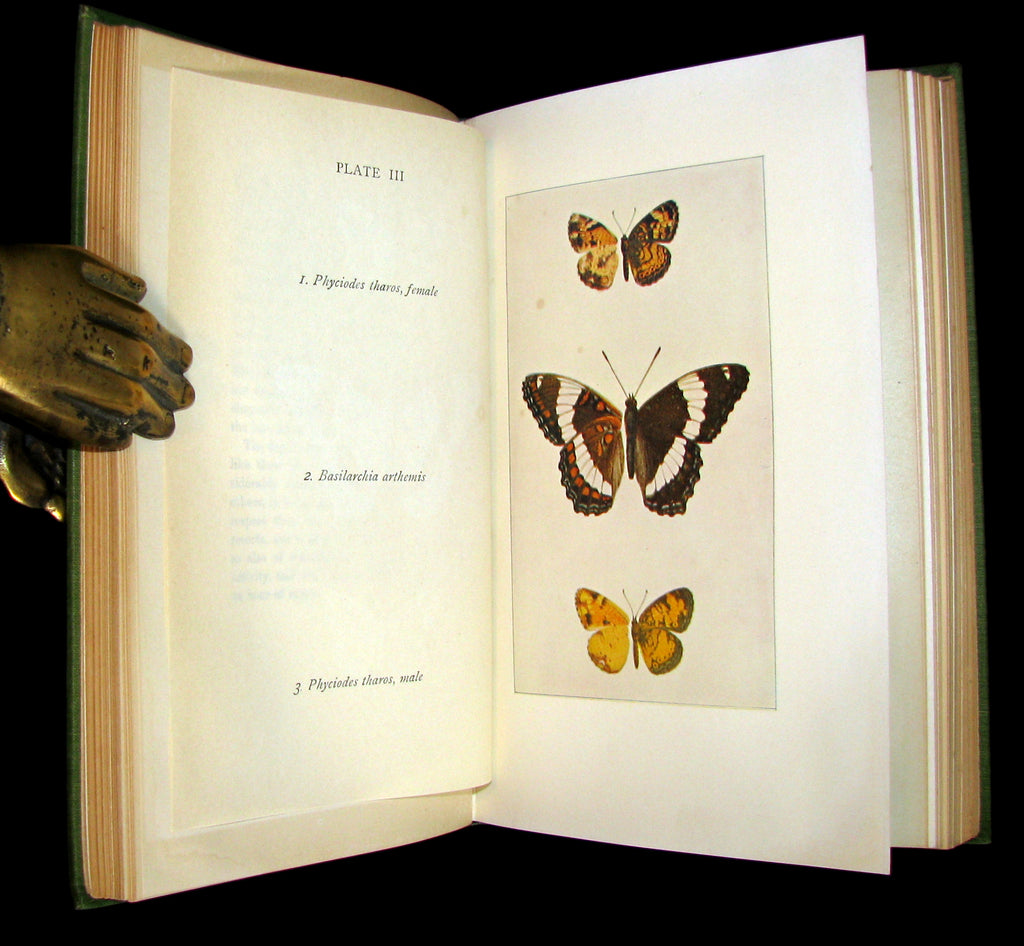 1899 Rare First Edition Book Every Day Butterflies A Group Of Biogra Mflibra Antique Books 