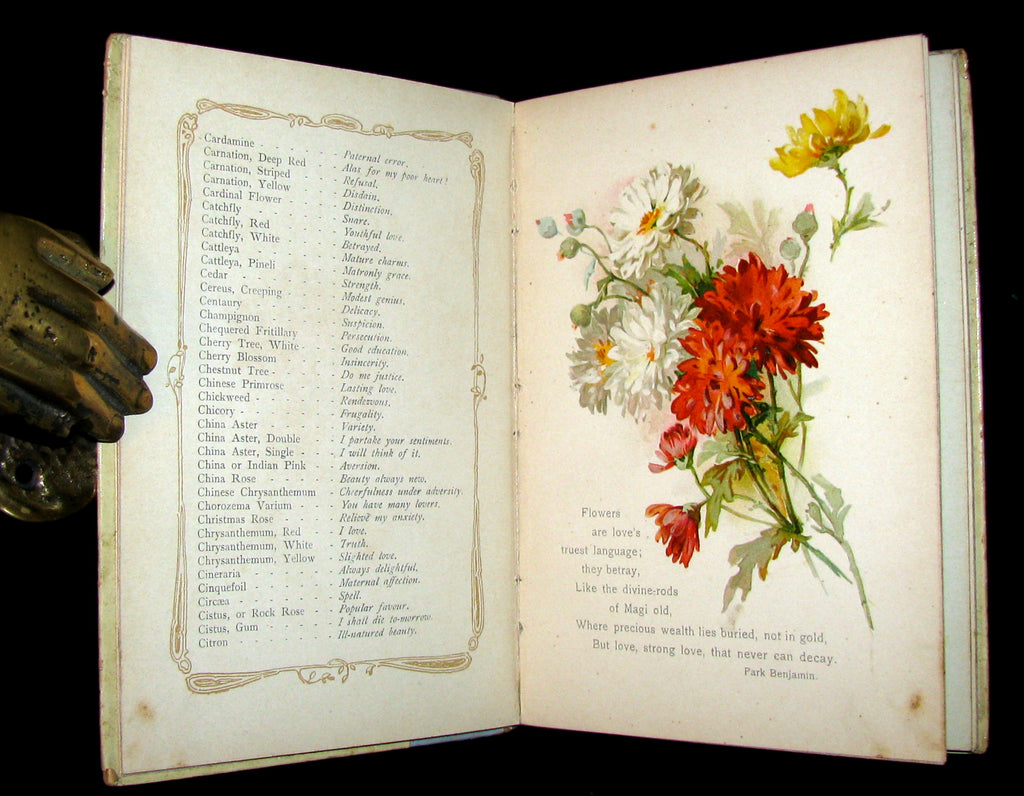 1890 Rare Floriography Book The Language Of Flowers By Ernest Nister Mflibra Antique Books