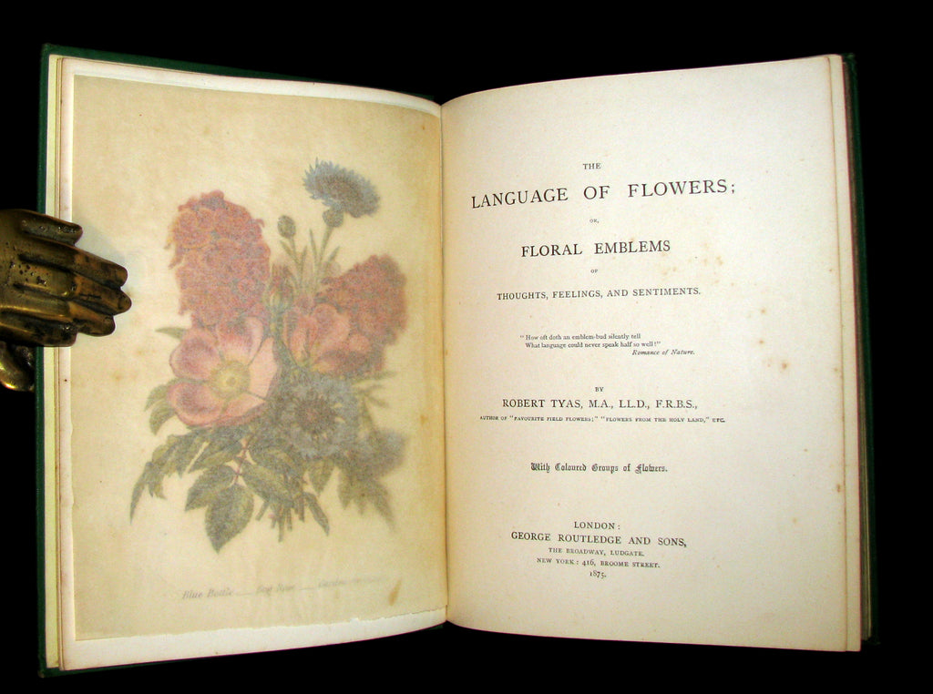 1880 Rare Floriography Book The Language Of Flowers By Robert Tyas Color Illustrated Mflibra Antique Books