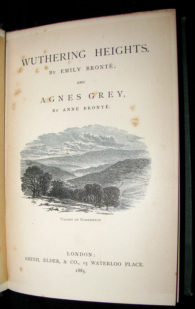 wuthering heights and agnes grey emily brontë