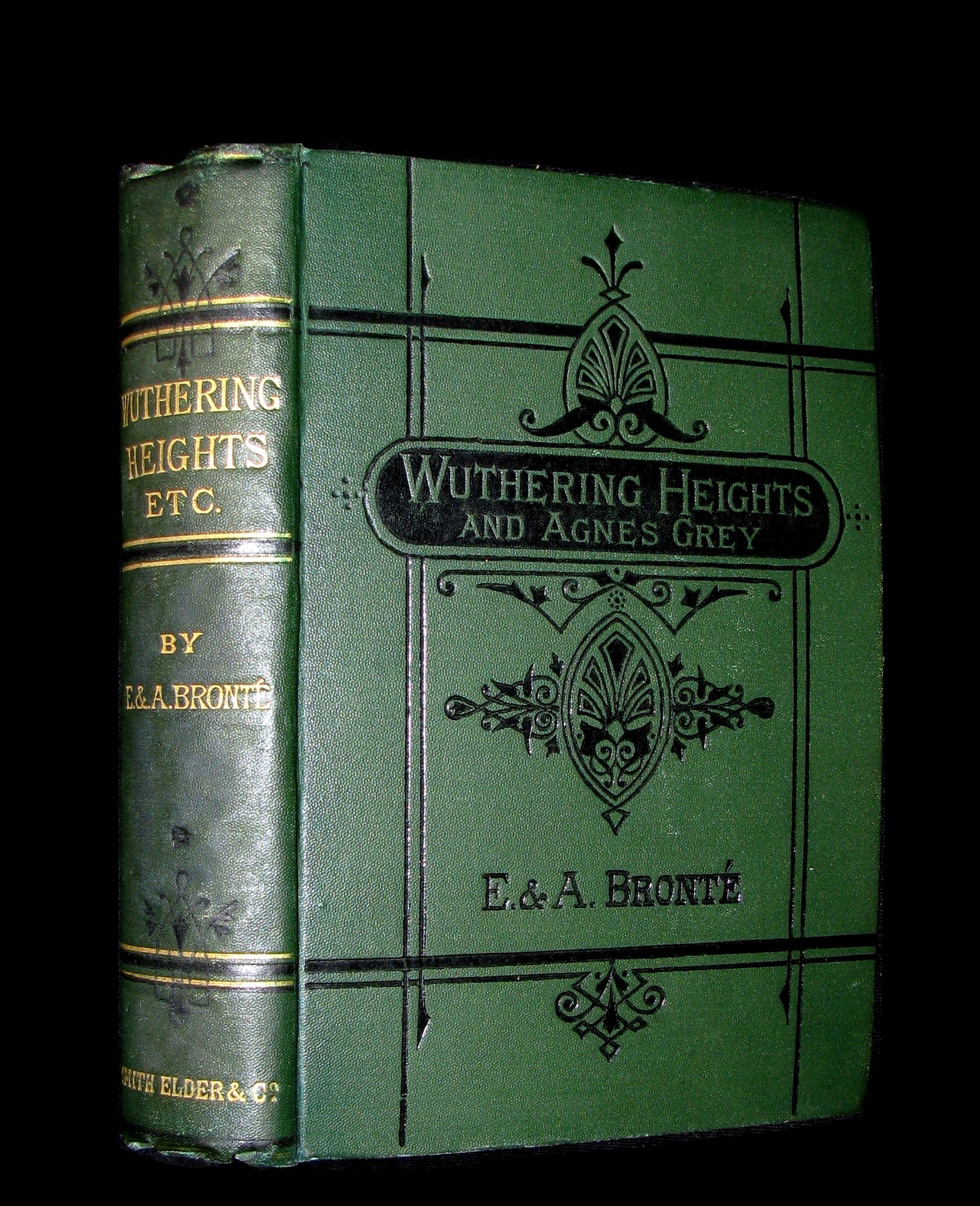 wuthering heights emily bronte book