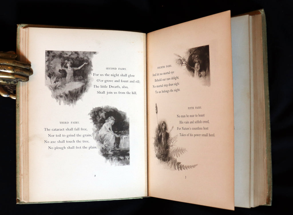 1895 Scarce Book - THE FAIRIES' FESTIVAL by John Witt Randall illustra –  MFLIBRA - Antique Books