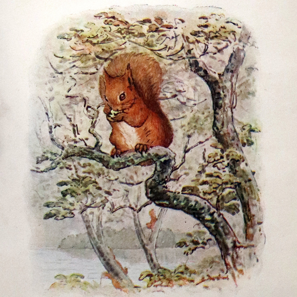 the tale of squirrel nutkin first edition