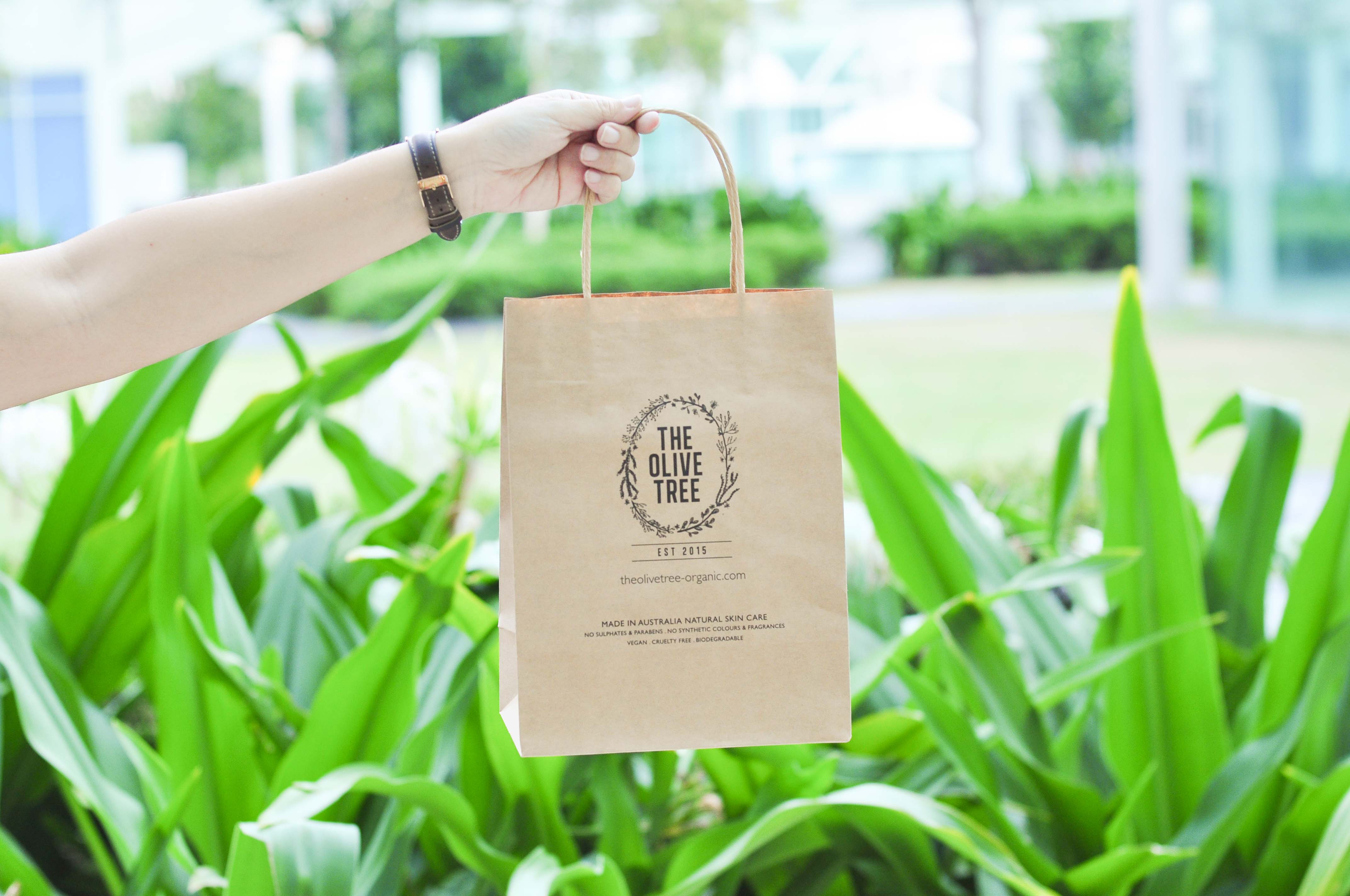 the olive tree zerowaste initiative