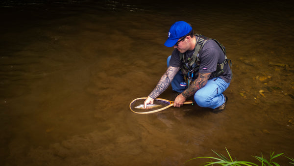 small stream fly fishing