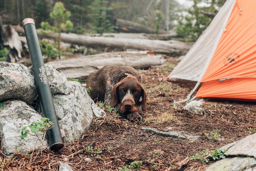 This image, from Moonshine Rods, shows a dog sleeping next to a tent.