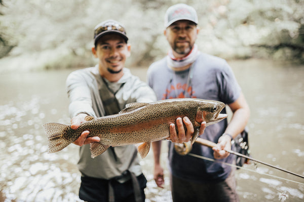 Blue Ridge fly fishing with a guide