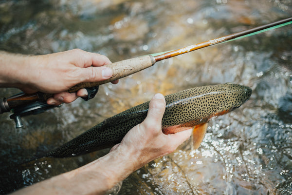 How to find a fly fishing guide