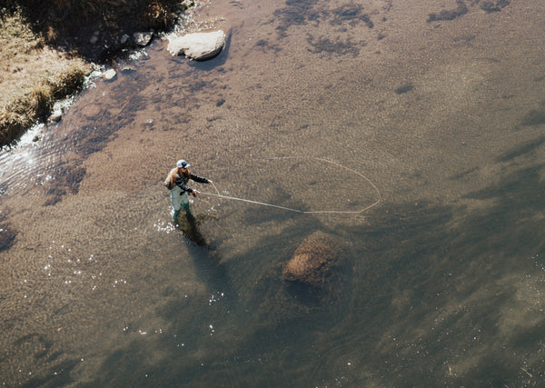 Fly Fishing Guides in Colorado