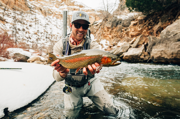 Wyoming Fishing guide