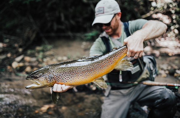 Handling Fish Properly Image