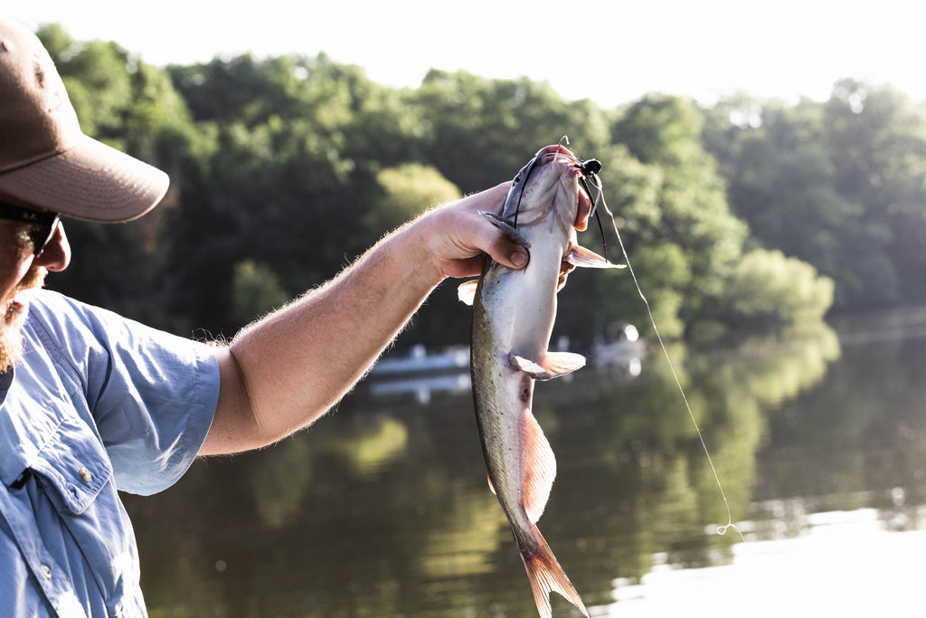 This image, from Moonshine Rods, shows an angler holding a channel catfish with a fly in its mouth.