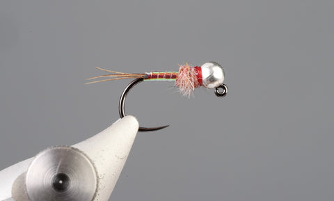 Rainbow Warrior Fly Tying with Tim Camissa