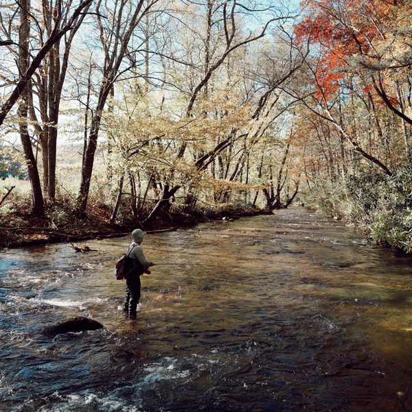 small stream fly fishing