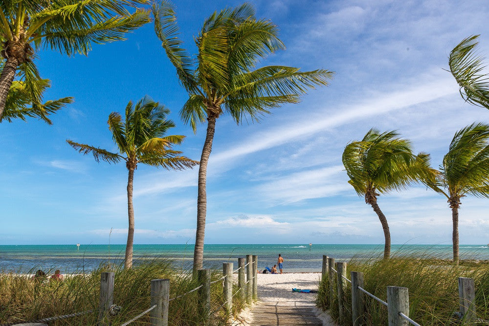 Boardwalk to a Beach in the Florida Keys