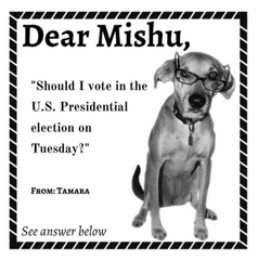 DearMishu, Should I vote in the US Presidential election?