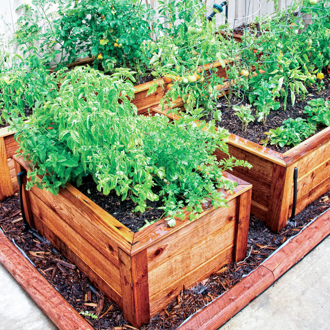 drip irrigation raised bed