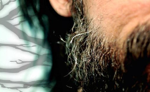 THE UGLY TRUTH ABOUT BEARD SPLIT ENDS & HOW TO PREVENT THEM