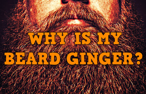 Ginger Beard
