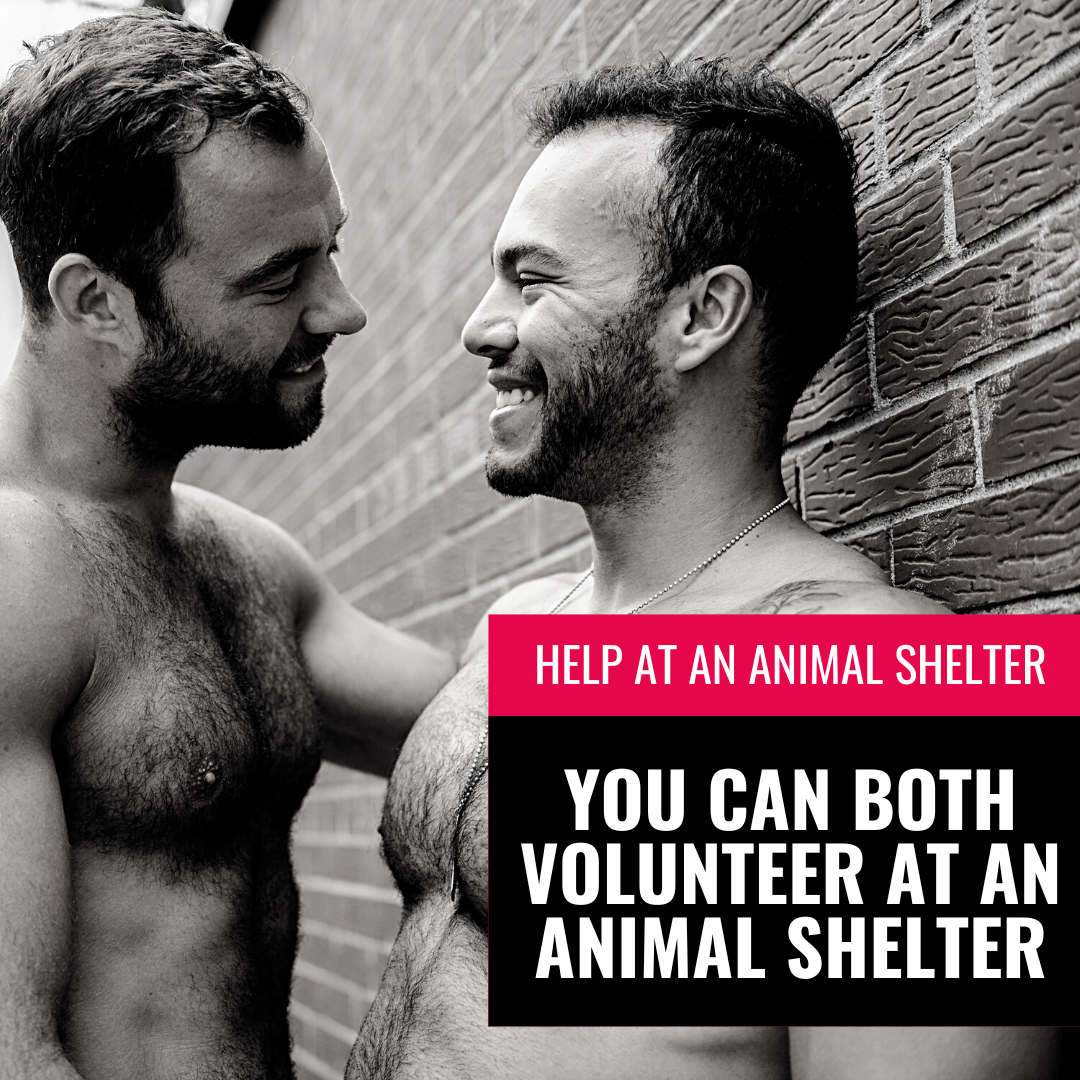 Help at an animal shelter gay dating post-covid