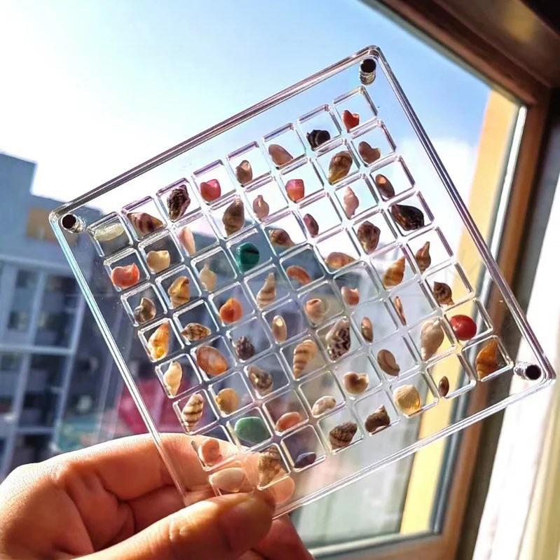 Magnetic Seashell Display Box