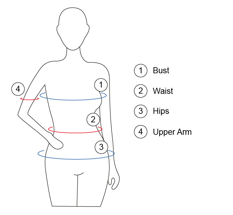 body measurements