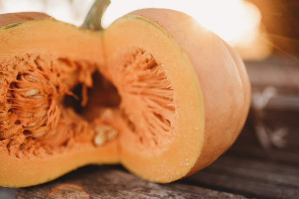 Interior of a cheese squash