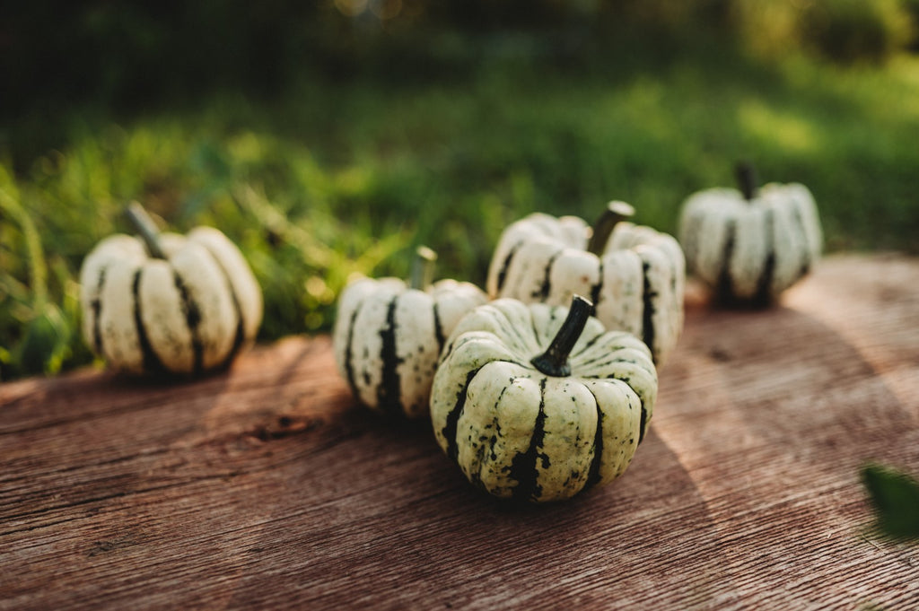 Acorn squash