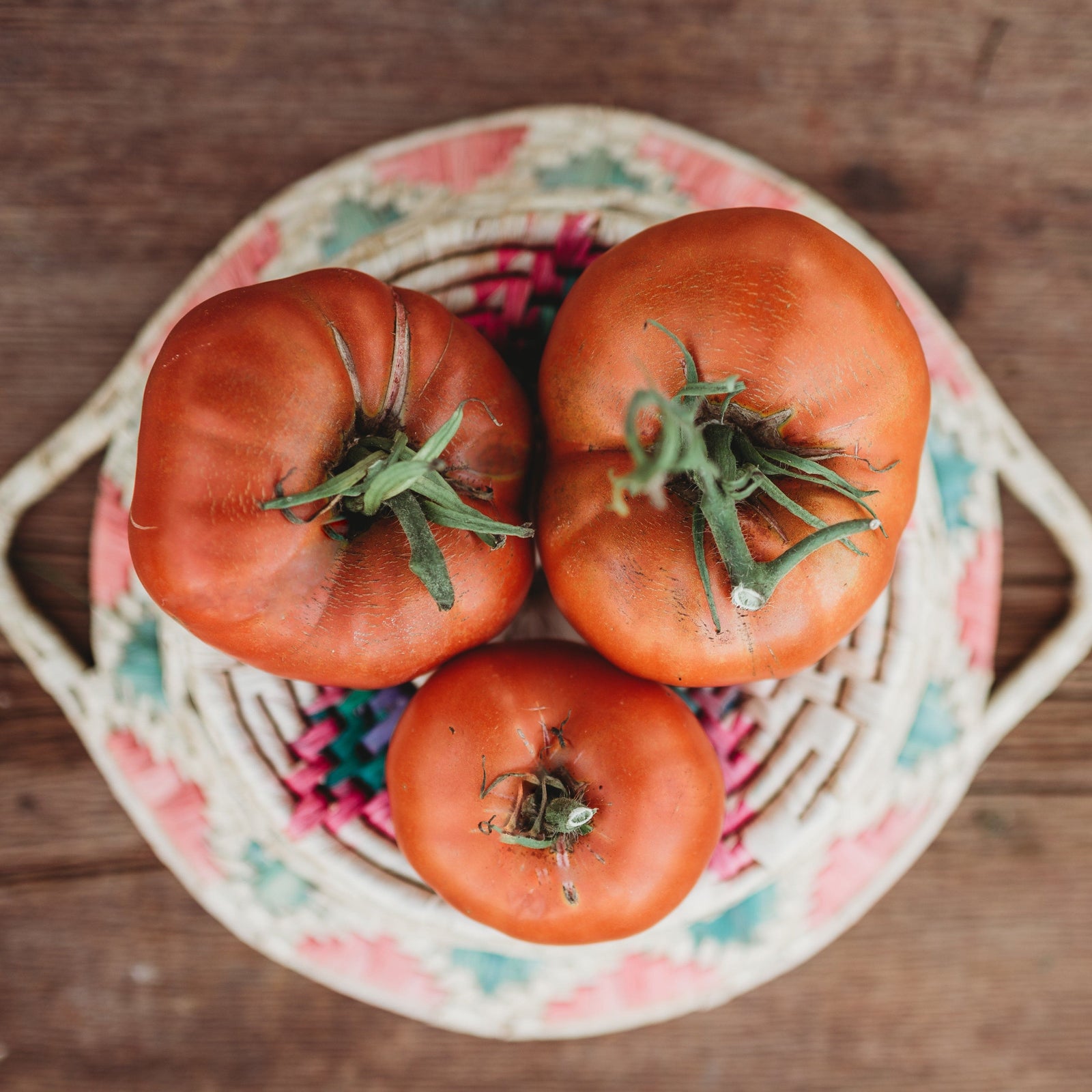 Brandywine, Pink - Slicer Tomato Seeds – The Incredible Seed