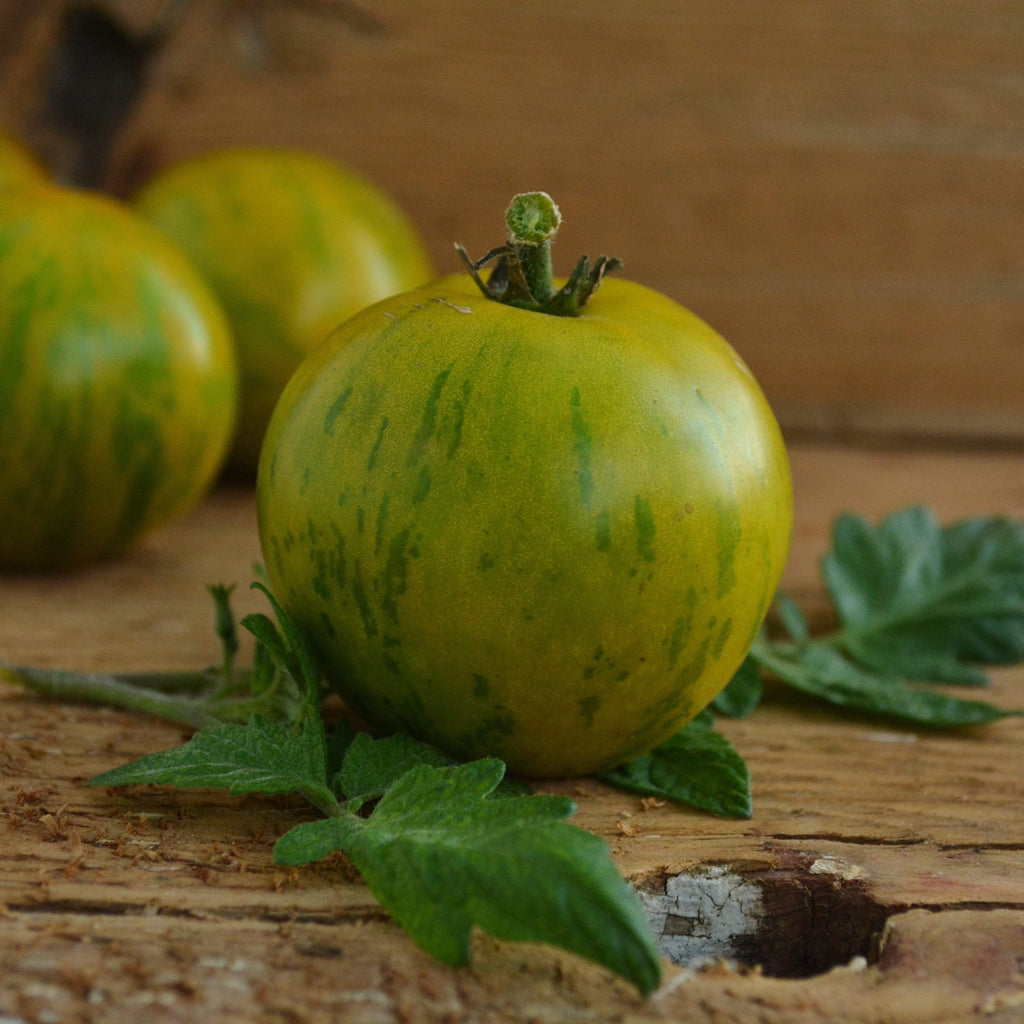 green zebra tomato size
