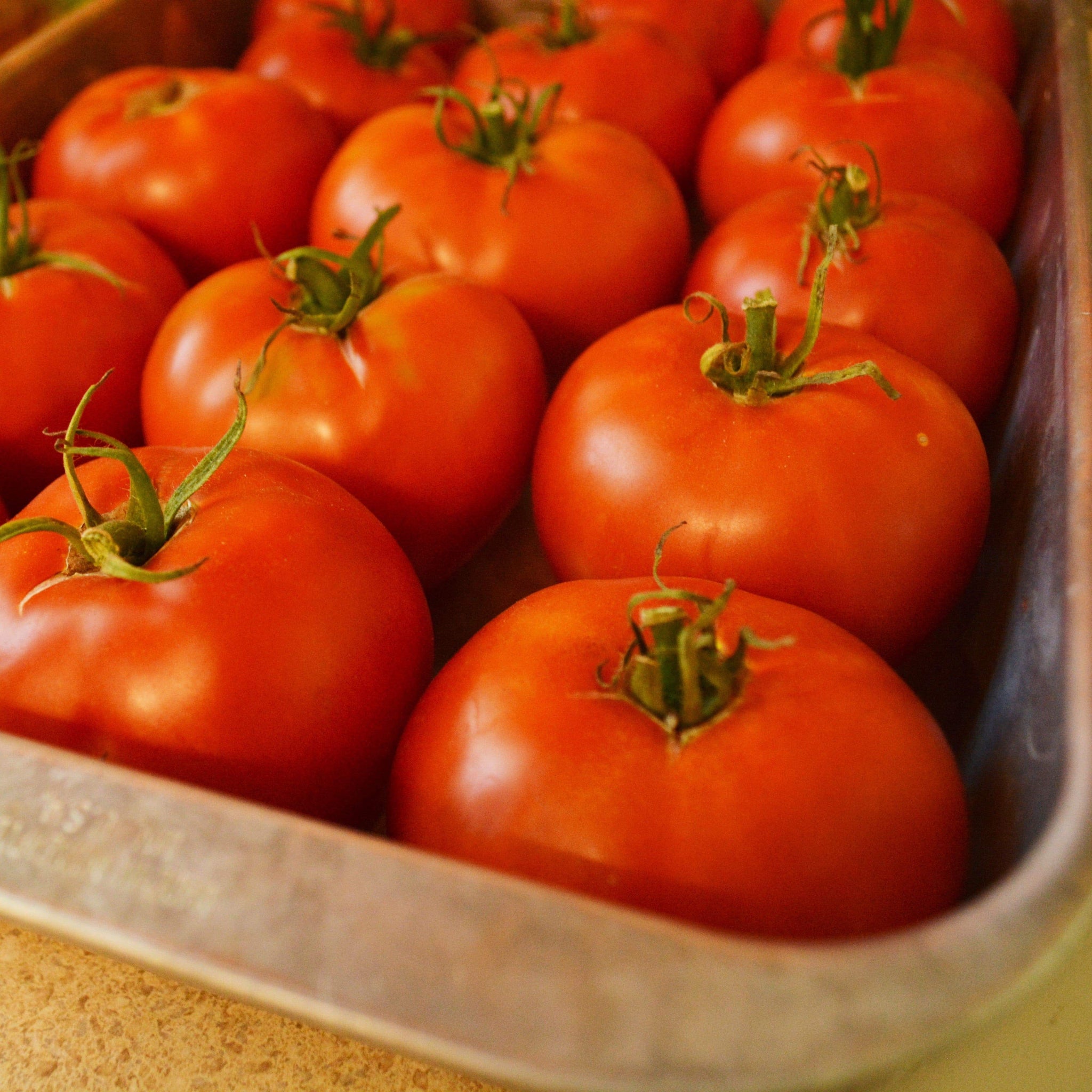 squash tomato timer