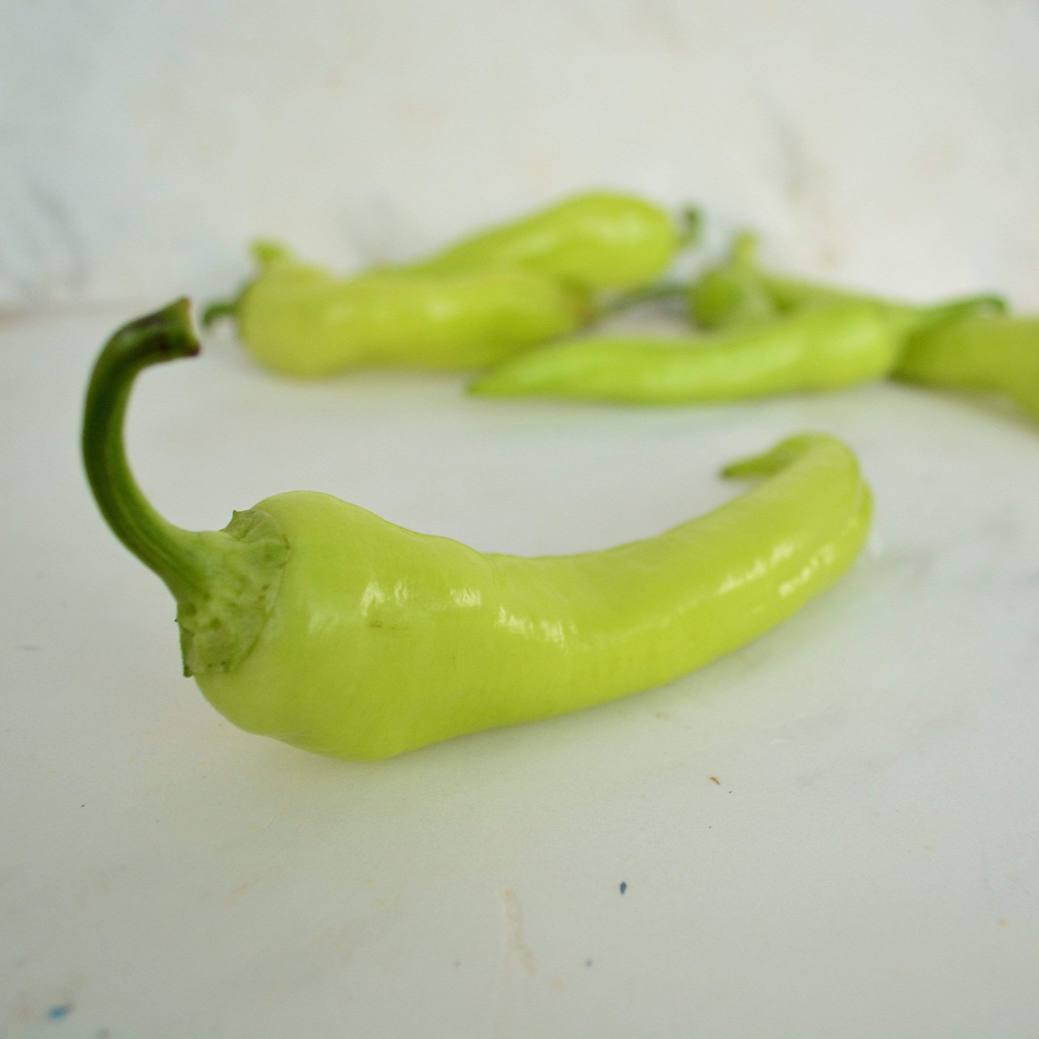 Yalova &quot;Carliston&quot; Banana Pepper Seeds Thresh Seed Co.