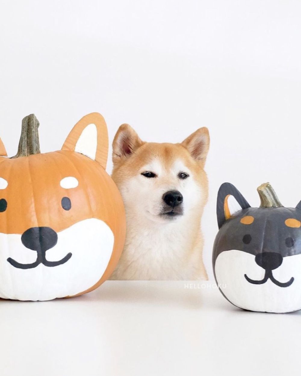 Painted Pumpkins for Halloween