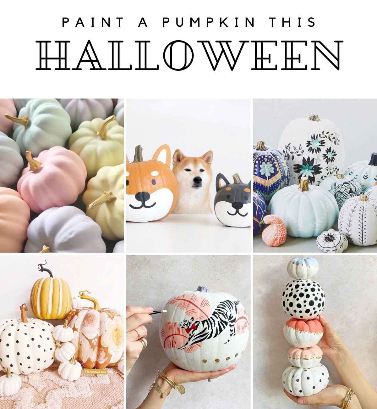 cute halloween painted pumpkins