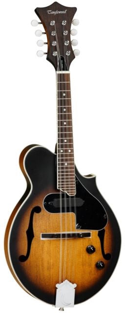 tanglewood electro acoustic mandolin