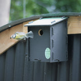 Blue tit eco nest box