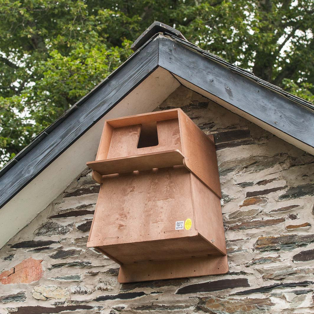 Richard's dream of providing nest box homes for local barn owls