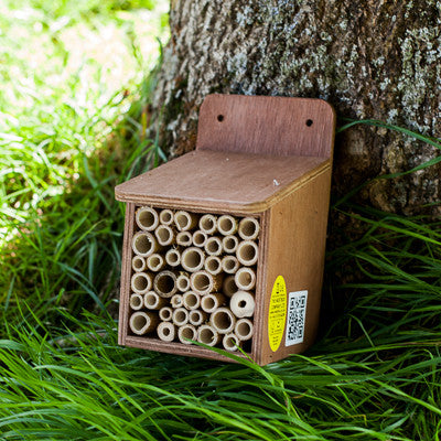 Bee House | The Nestbox Company