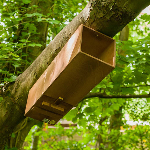 Barn Owl Nest Box | The Nestbox Company