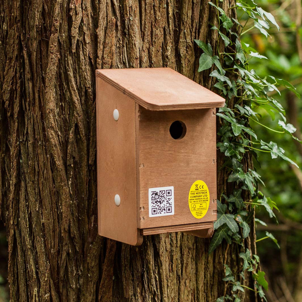 Tree Sparrow Nest Box | The Nestbox Company