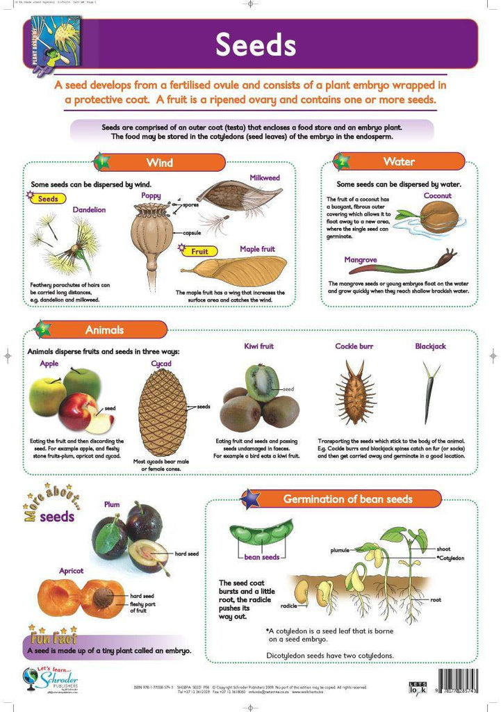 Female Seed Chart